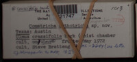 Image Associated With the Occurence
